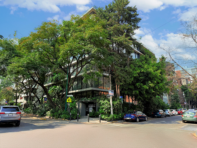 Platón del Parque